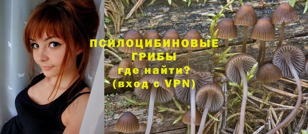 хмурый Богородицк