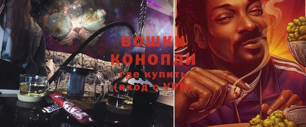 PSILOCYBIN Богородск
