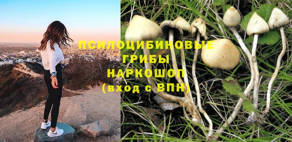PSILOCYBIN Богородск